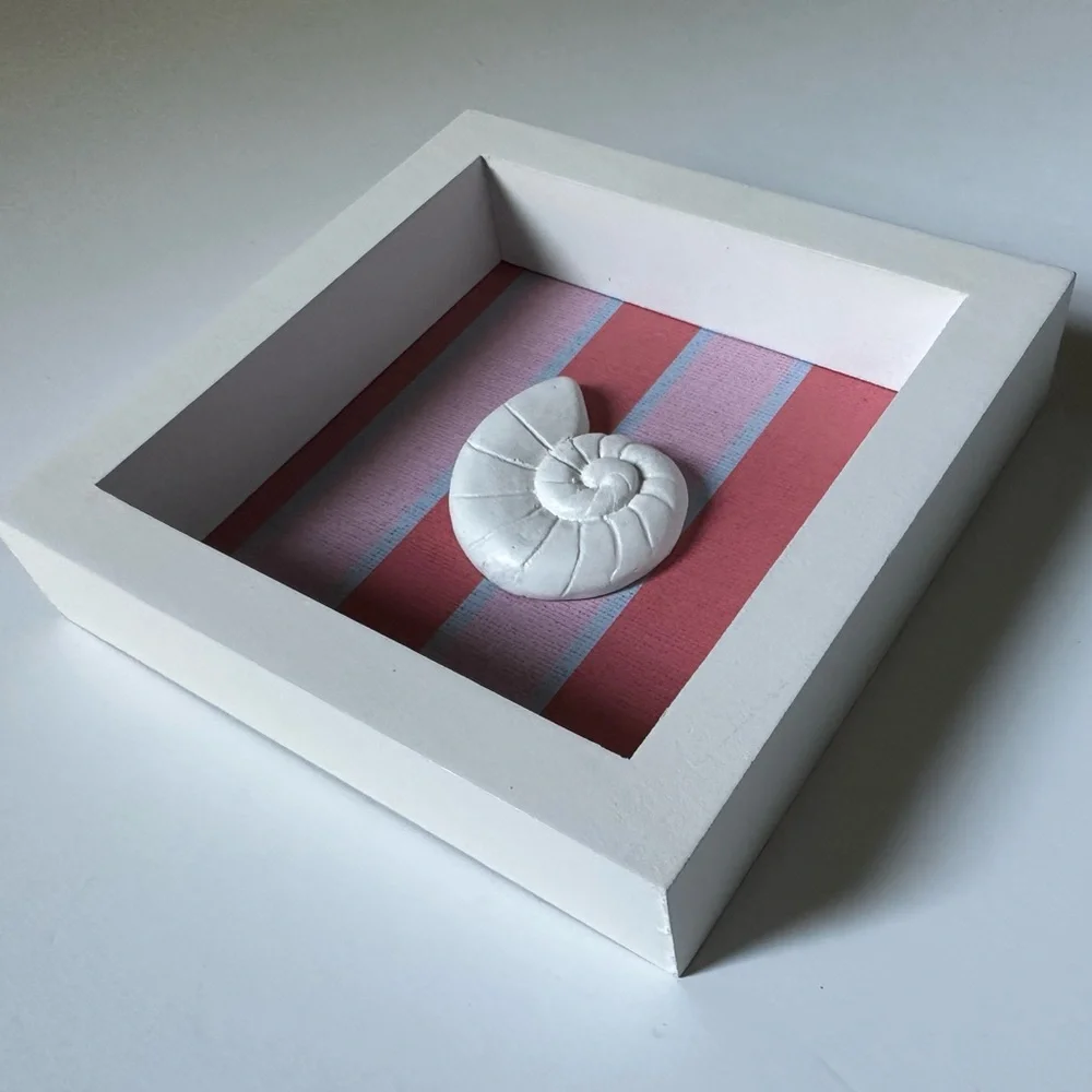 Brand new Seaside Spiral 3D Shell wall Art